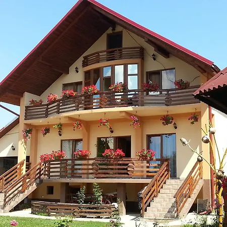 Vendégház Maramures Aknasugatag